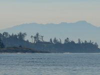 16819CrLeSh - A walk along Whiffin Spit, Sooke   Each New Day A Miracle  [  Understanding the Bible   |   Poetry   |   Story  ]- by Pete Rhebergen
